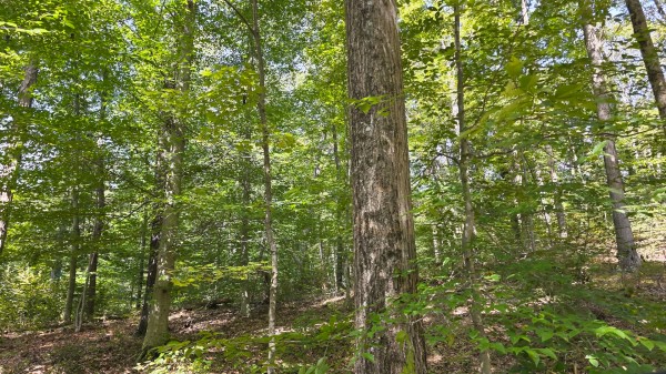 Tract C – Hocking Hideout on Monday Creek property photo