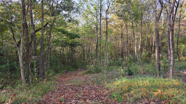 Lot 3 at Scenic Trails property photo