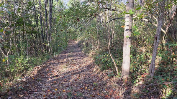 Lot 3 at Scenic Trails property photo