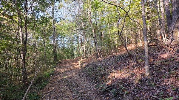 Lot 3 at Scenic Trails property photo