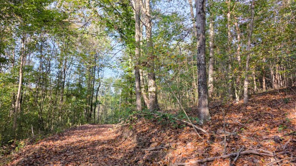 Lot 3 at Scenic Trails property photo