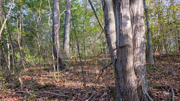 Lot 3 at Scenic Trails property photo
