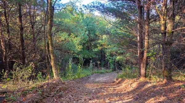 Lot 3 at Scenic Trails property photo