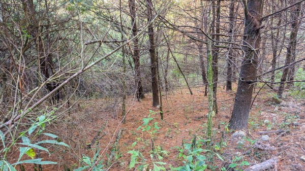 Lot 3 at Scenic Trails property photo