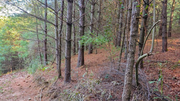 Lot 3 at Scenic Trails property photo
