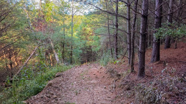 Lot 3 at Scenic Trails property photo