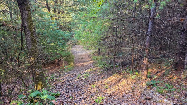 Lot 3 at Scenic Trails property photo
