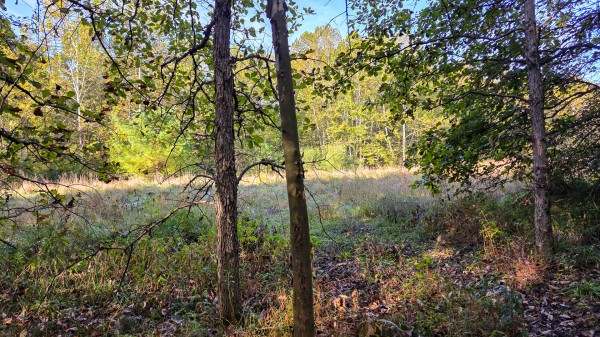 Lot 3 at Scenic Trails property photo