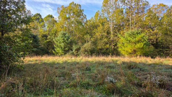 Lot 3 at Scenic Trails property photo