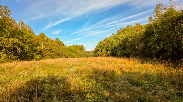Lot 3 at Scenic Trails property photo