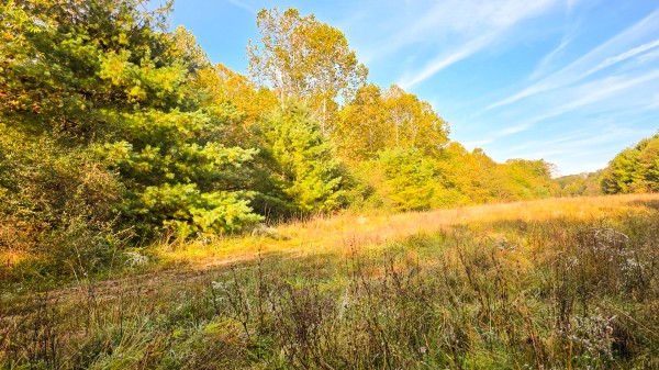Lot 3 at Scenic Trails property photo