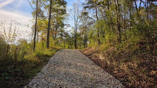 More of Lot 3 at Scenic Trails