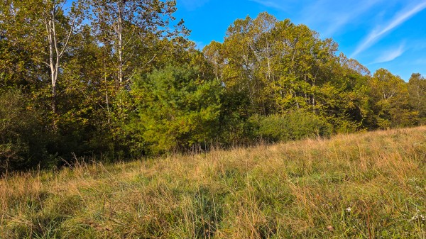 Lot 3 at Scenic Trails property photo
