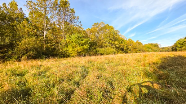 Lot 3 at Scenic Trails property photo