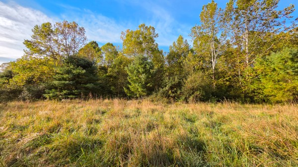 Lot 3 at Scenic Trails property photo