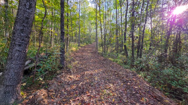 Lot 3 at Scenic Trails property photo