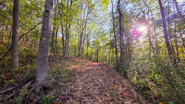 Lot 3 at Scenic Trails property photo