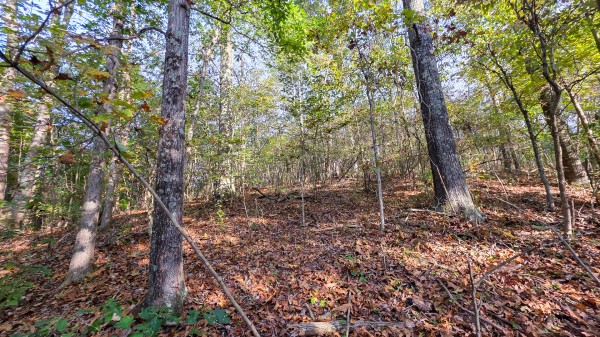 Lot 3 at Scenic Trails property photo