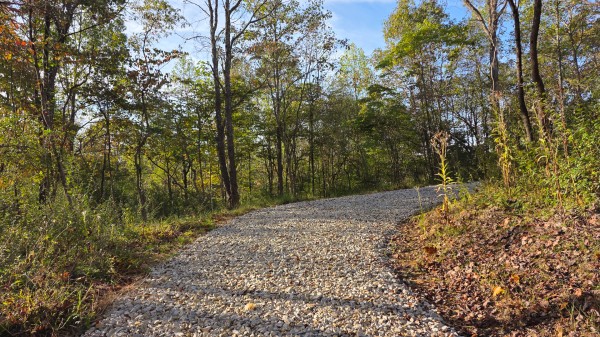 More of Lot 3 at Scenic Trails