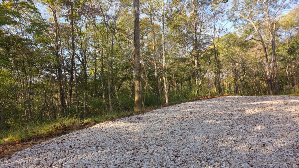 More of Lot 3 at Scenic Trails