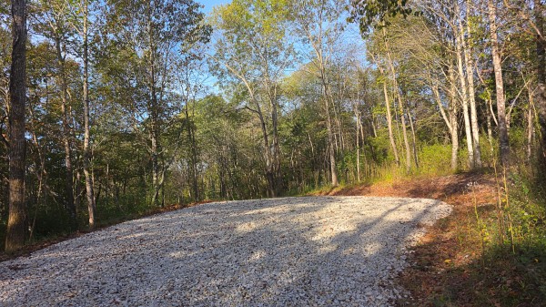 More of Lot 3 at Scenic Trails