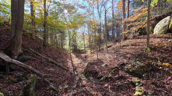 Lot 4 at Scenic Trails property photo