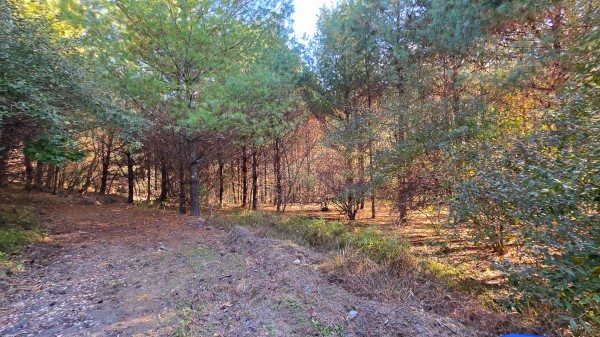 Lot 4 at Scenic Trails property photo