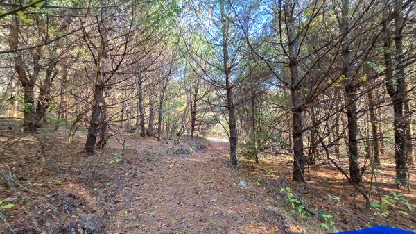 Lot 4 at Scenic Trails property photo