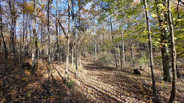Lot 4 at Scenic Trails property photo