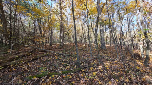 Lot 4 at Scenic Trails property photo