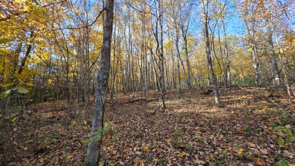 Lot 4 at Scenic Trails property photo