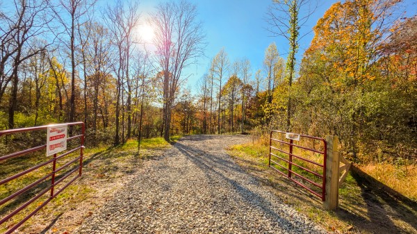 More of Lot 4 at Scenic Trails
