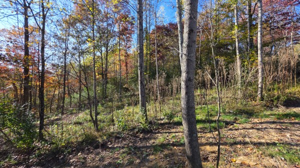 Lot 4 at Scenic Trails property photo