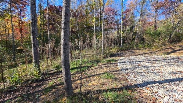 Lot 4 at Scenic Trails property photo