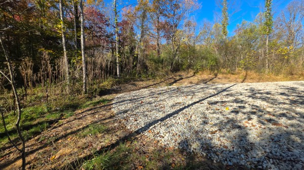 Lot 4 at Scenic Trails property photo
