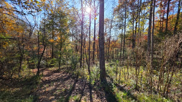 Lot 4 at Scenic Trails property photo