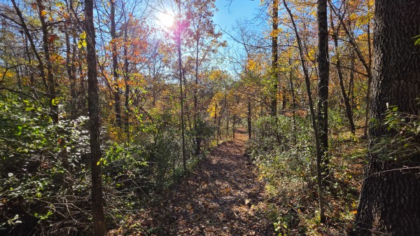 Lot 4 at Scenic Trails property photo