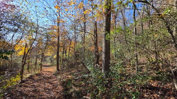 Lot 4 at Scenic Trails property photo
