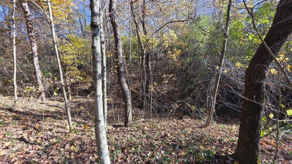 Lot 4 at Scenic Trails property photo