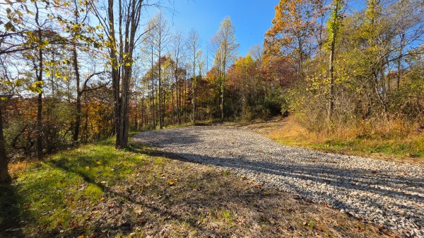 More of Lot 4 at Scenic Trails