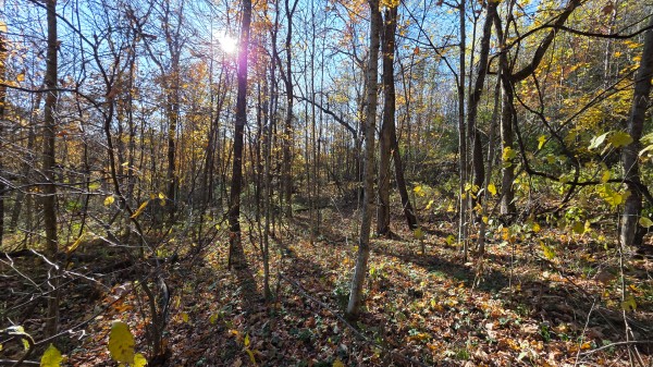 Lot 4 at Scenic Trails property photo