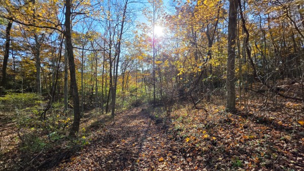 Lot 4 at Scenic Trails property photo