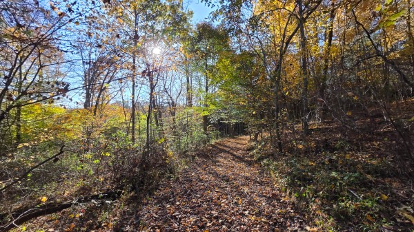 Lot 4 at Scenic Trails property photo