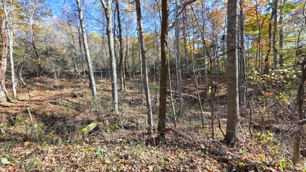 Lot 4 at Scenic Trails property photo