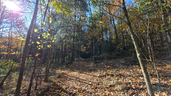 Lot 4 at Scenic Trails property photo
