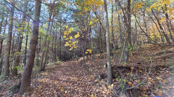 Lot 4 at Scenic Trails property photo