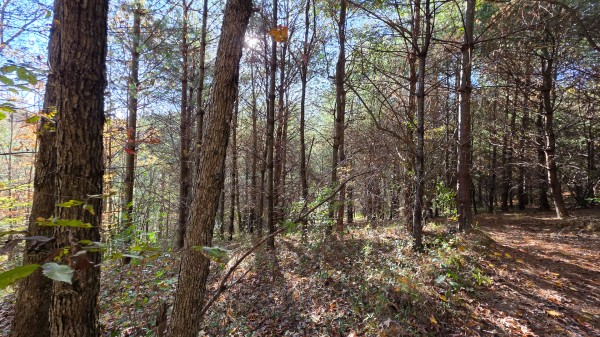 Lot 4 at Scenic Trails property photo