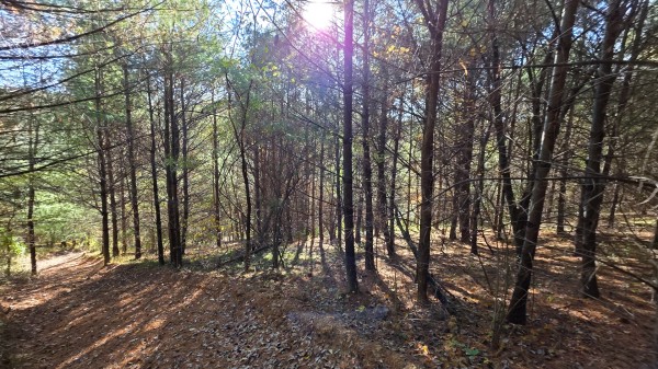 Lot 4 at Scenic Trails property photo