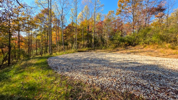 More of Lot 4 at Scenic Trails