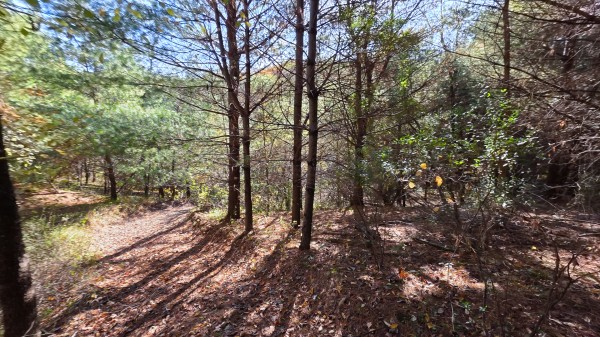Lot 4 at Scenic Trails property photo